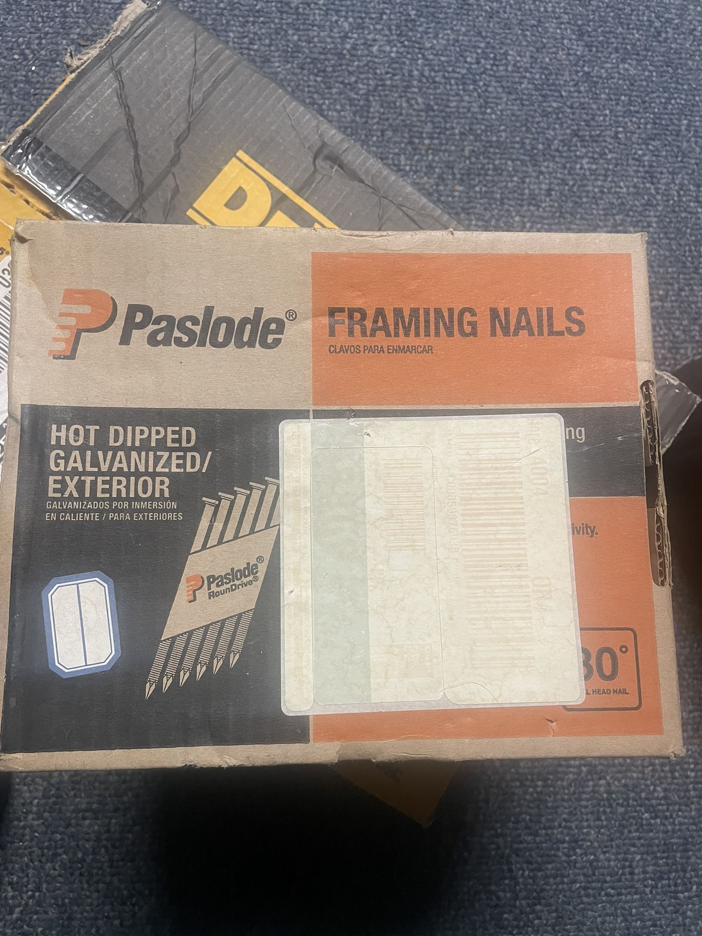 Framing Nails & Coil Nail 