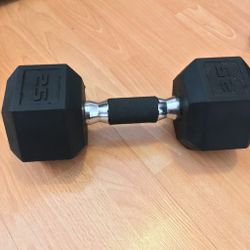 25 Pound Weight Excellent Condition