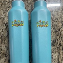 Each $15 Scooby-Doo Run Logo Double Wall Stainless Steel Water Bottle 20 OZ Works Flaw