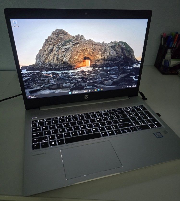 HP ProBook 450 G6 LAPTOP