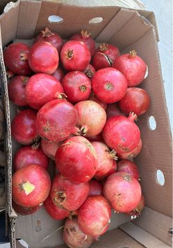Pomegranates
