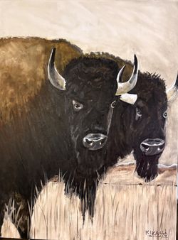 Bisons