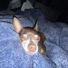 Alberto 