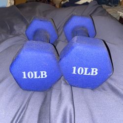 10lb Dumbells