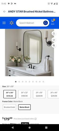 Andy Star 20x30 Brushed Nickel Mirror 