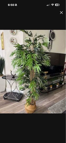 Artificial plant bamboo tree 6 ft tall! Brand new