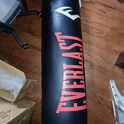 Heavy Bag (Everlast 100 Ib) and Wavemaster 