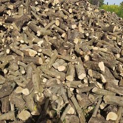 Seasoned Orange tree firewood