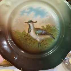 6 Victorian Porcelain Hand Painted Pheasant Plates Excellent Condition 