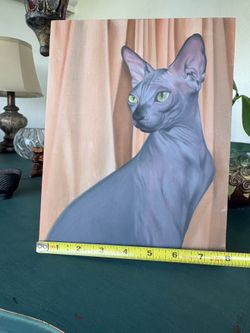 Cat 🐈‍⬛