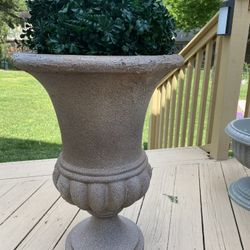 Very  Gorgeous  pot with the plant 