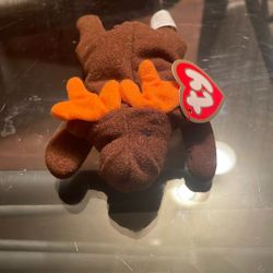 Ty Beanie Baby Named Chocolate, The Moose