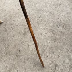 Walking Stick 