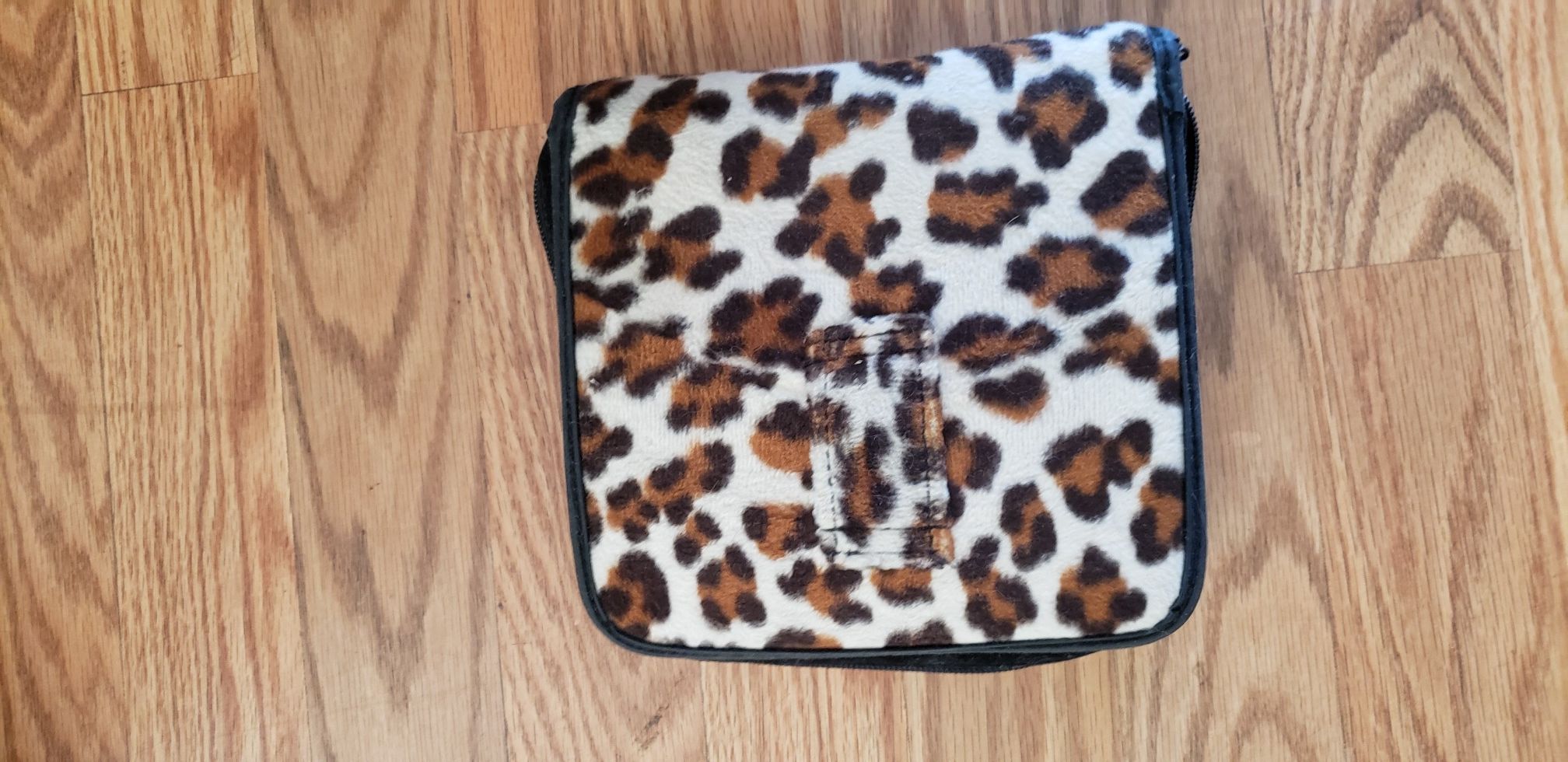 CD/DVD travel storage