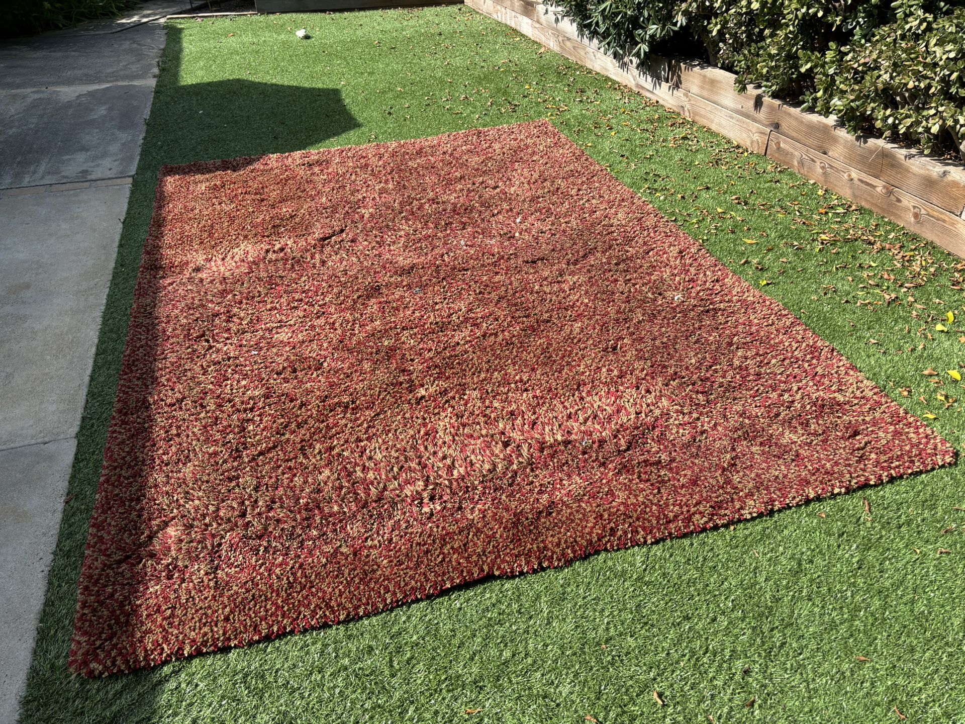 Free Giant Rug