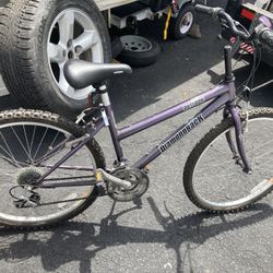 Woman’s Diamondback Mountain Bike