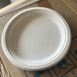 Biodegradable bagasse plates: 8.75”