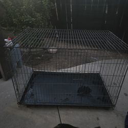Dog Crate 