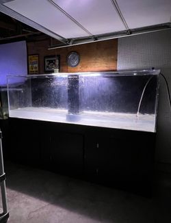 300 gallon acrylic Aquarium