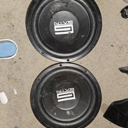 12inch Gain Subwoofer 