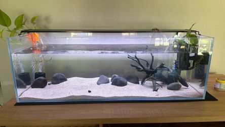 Aquarium Fish Tank - 20 Gallon Long