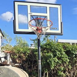 LifeTime Basketball Hoop