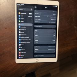iPad Air 3