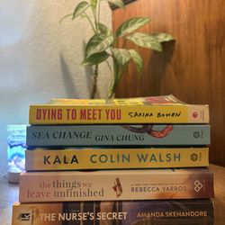 Fiction & Romance Book Lot – Sarina Bowen, Rebecca Yarros, Gina Chung + More!