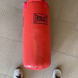 Punching Bag