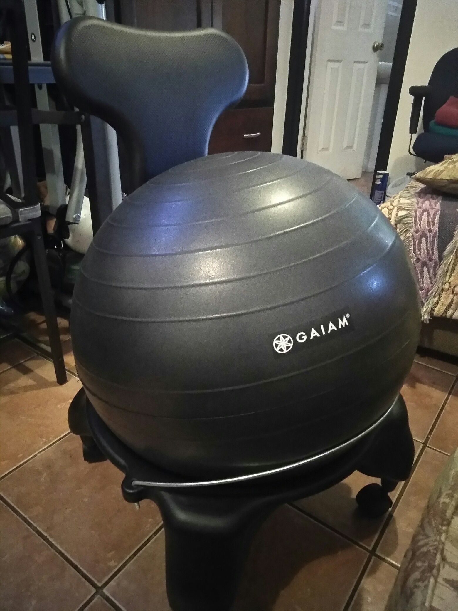 Gaiam Ball