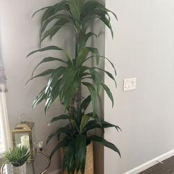 Faux House Plants For Sale 
