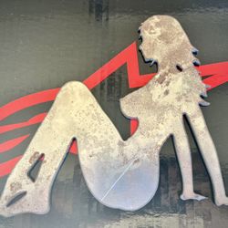 Plasmas Cut steel Silhouette 