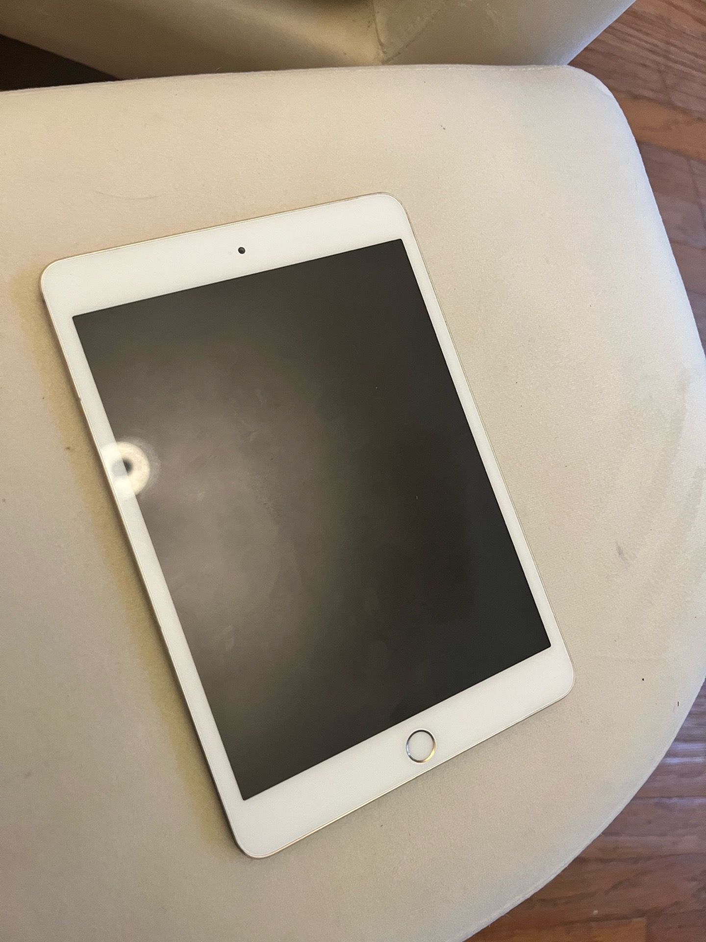 iPad mini 3