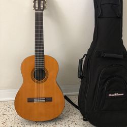 Acoustic Guitar 