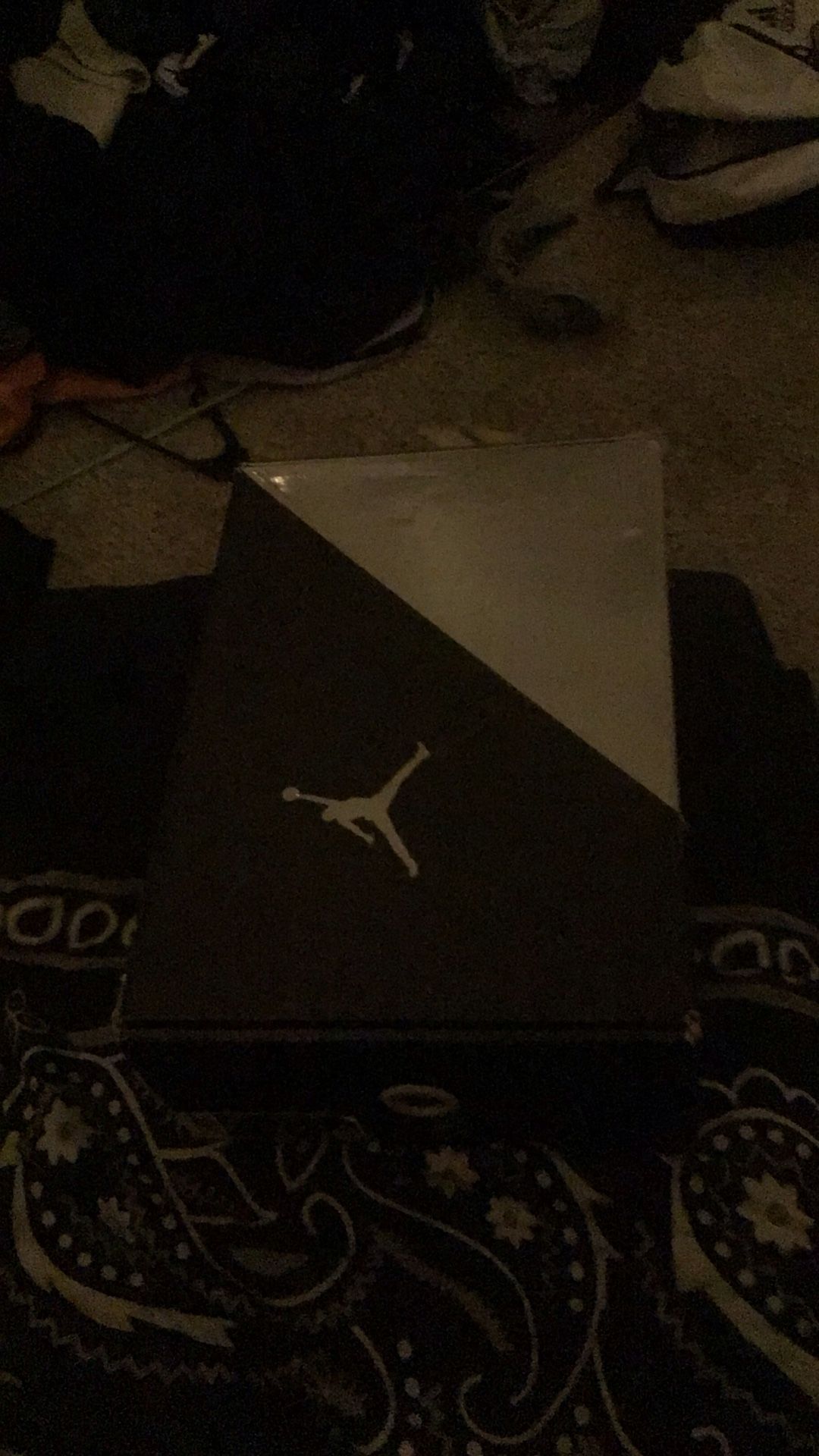 Jordan 8 1(2 11 Retro Louie’s