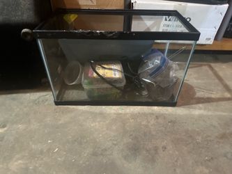 10 gallon tank