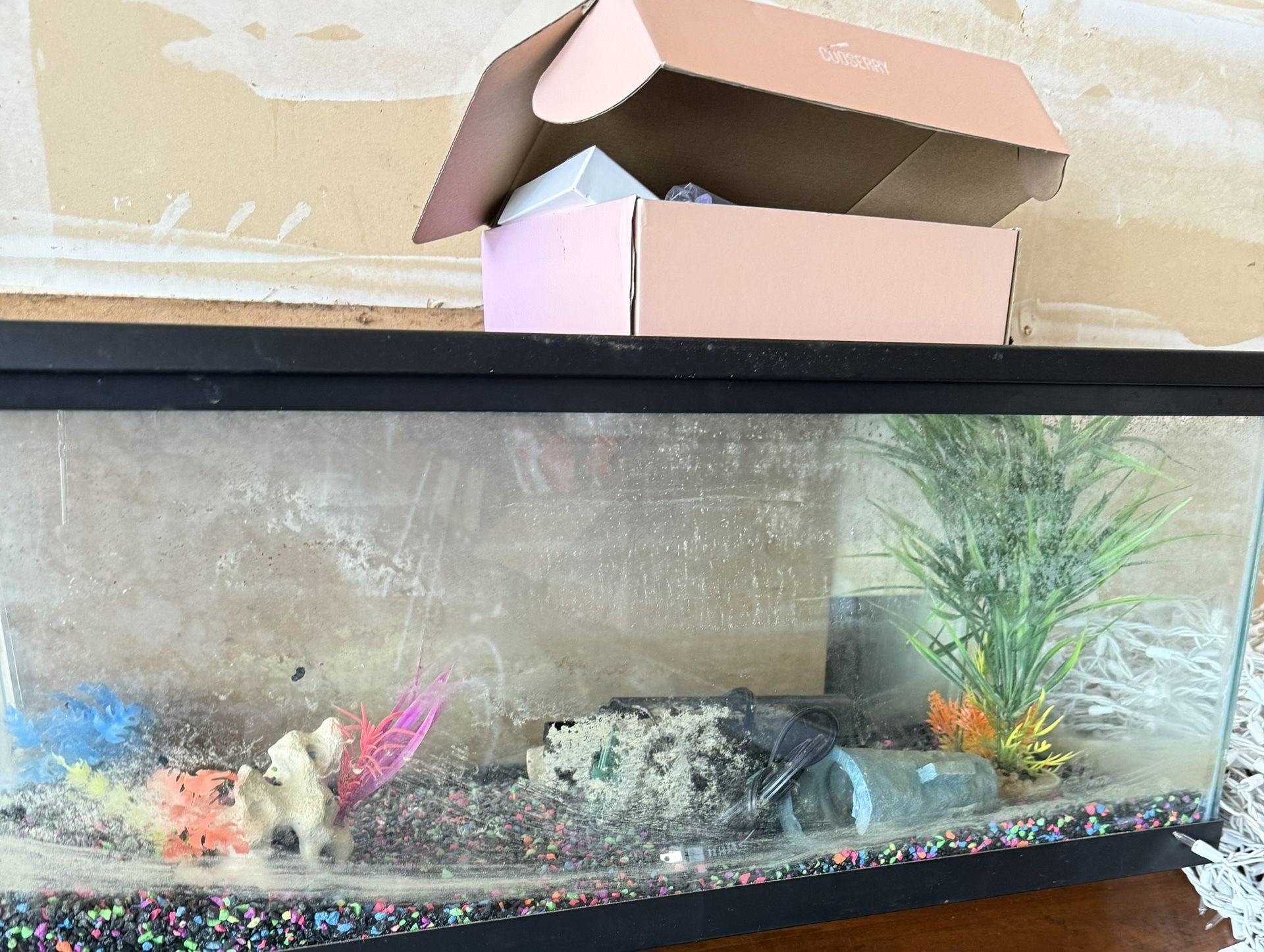 Fish Tank