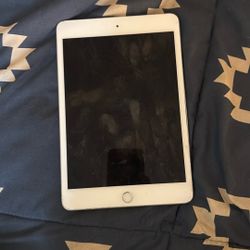 iPad 5 Mini 