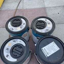 New Paint.  Interior.