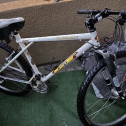 RARE VINTAGE GT REBOUND MOUNTAIN BIKE for Sale in Lake Forest CA OfferUp