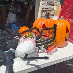 Halloween Collection 