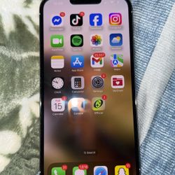 iPhone 13 Pro Max