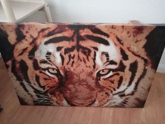 2 canvas pictures both for $20
