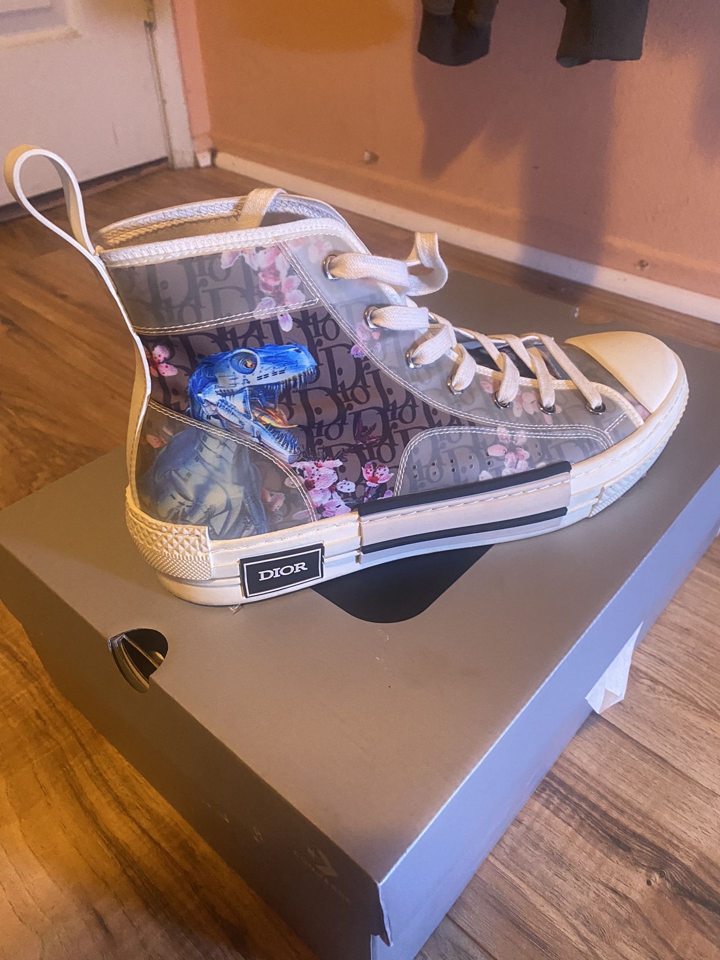 Dior High Tops Soyorama Dinosaur