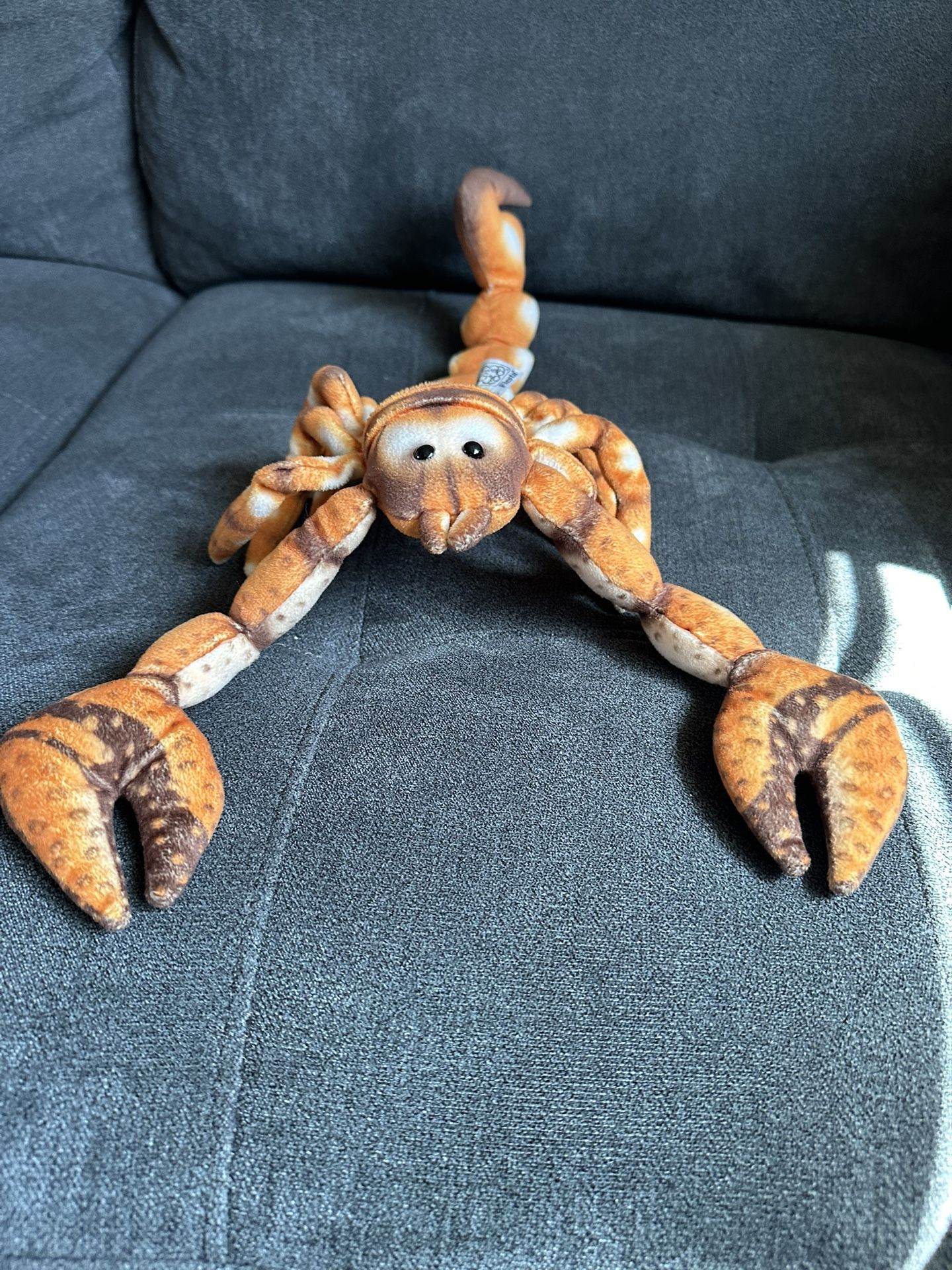 Scorpion stuffed animal needs a new home