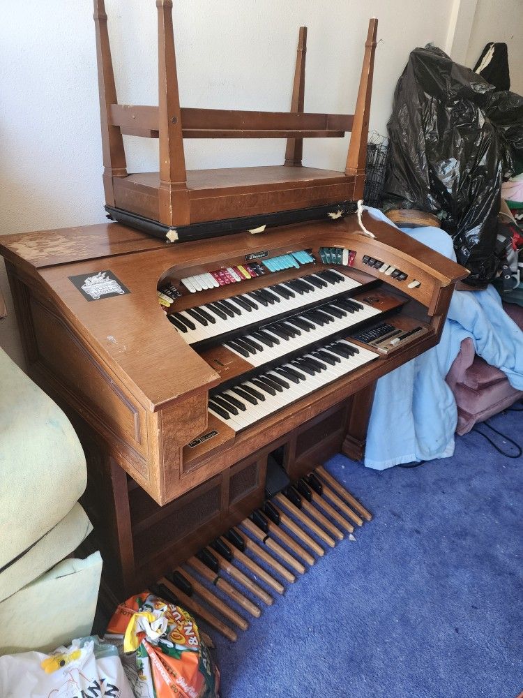 Organ