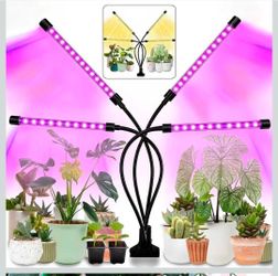 Black light for plants