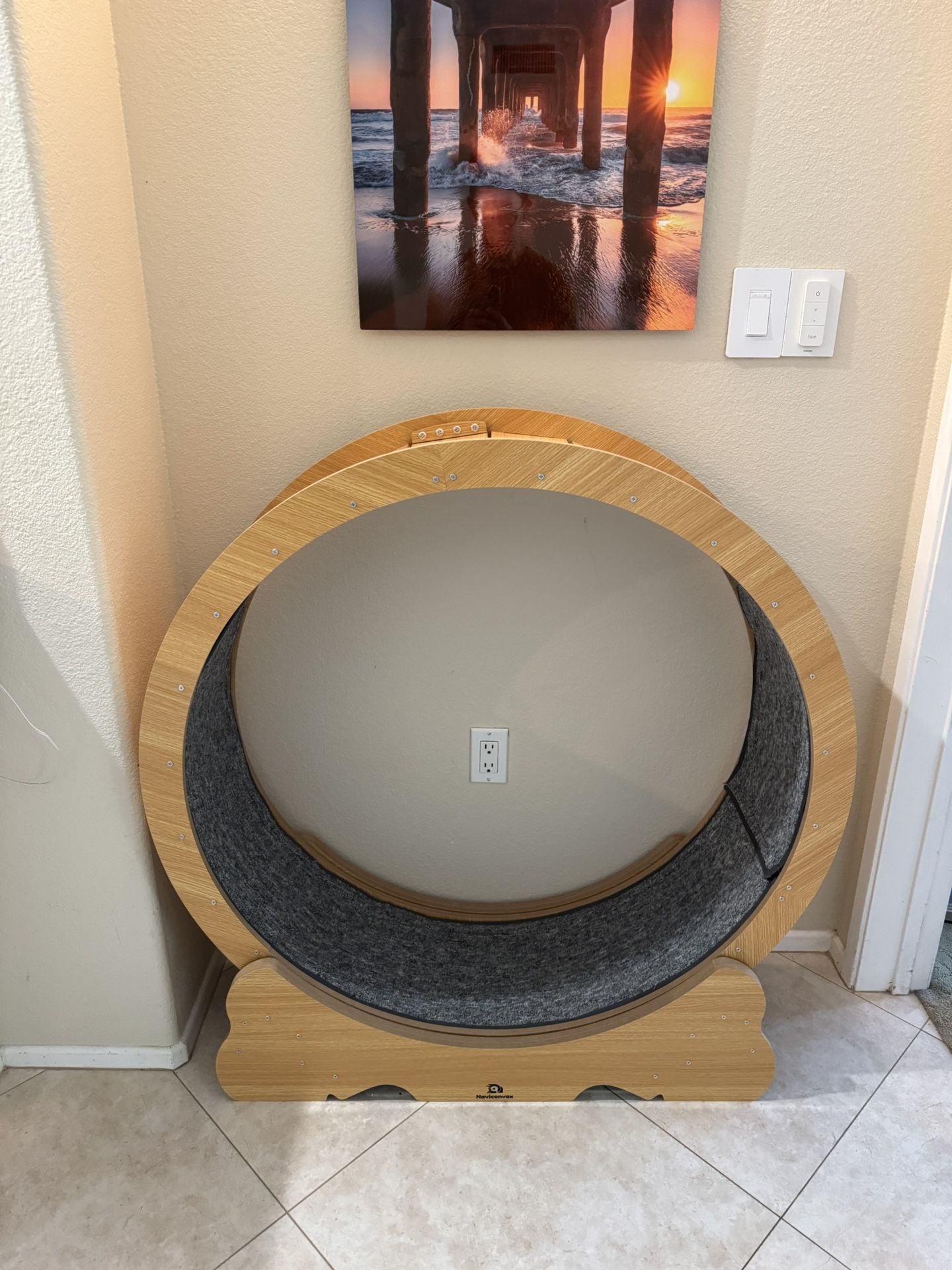 Cat Wheel