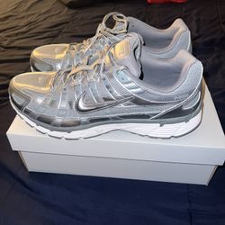Men’s P-6000 Metallic Size 13