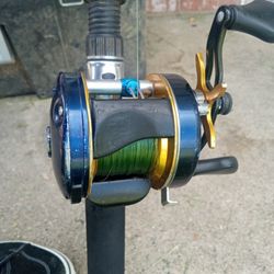 The Only Abu Garcia 5600 C4 With A Baitrunner